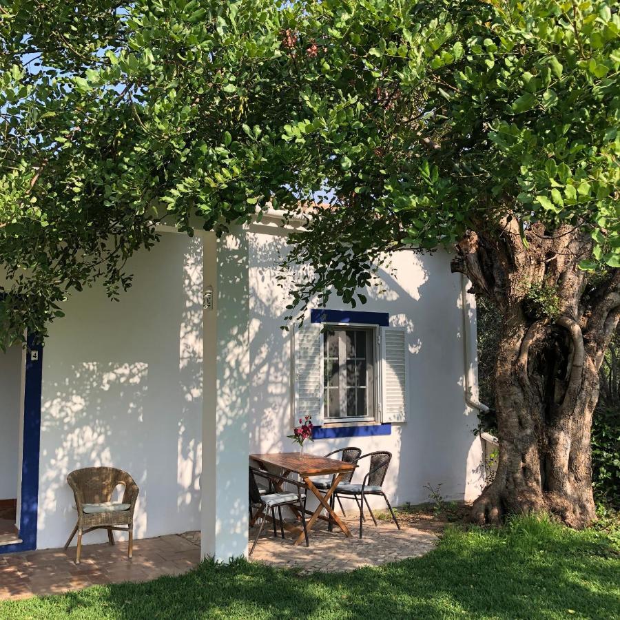 مبيت وإفطار بلوكويم Quinta Quinze المظهر الخارجي الصورة